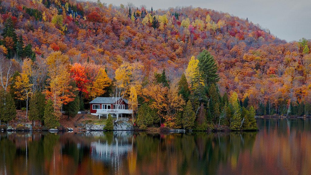 Ontario Buyers Actively Looking for Cottages in Fall
